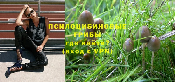 ГАЛЛЮЦИНОГЕННЫЕ ГРИБЫ Волосово
